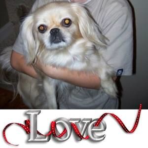 Meet your Posher, Becky